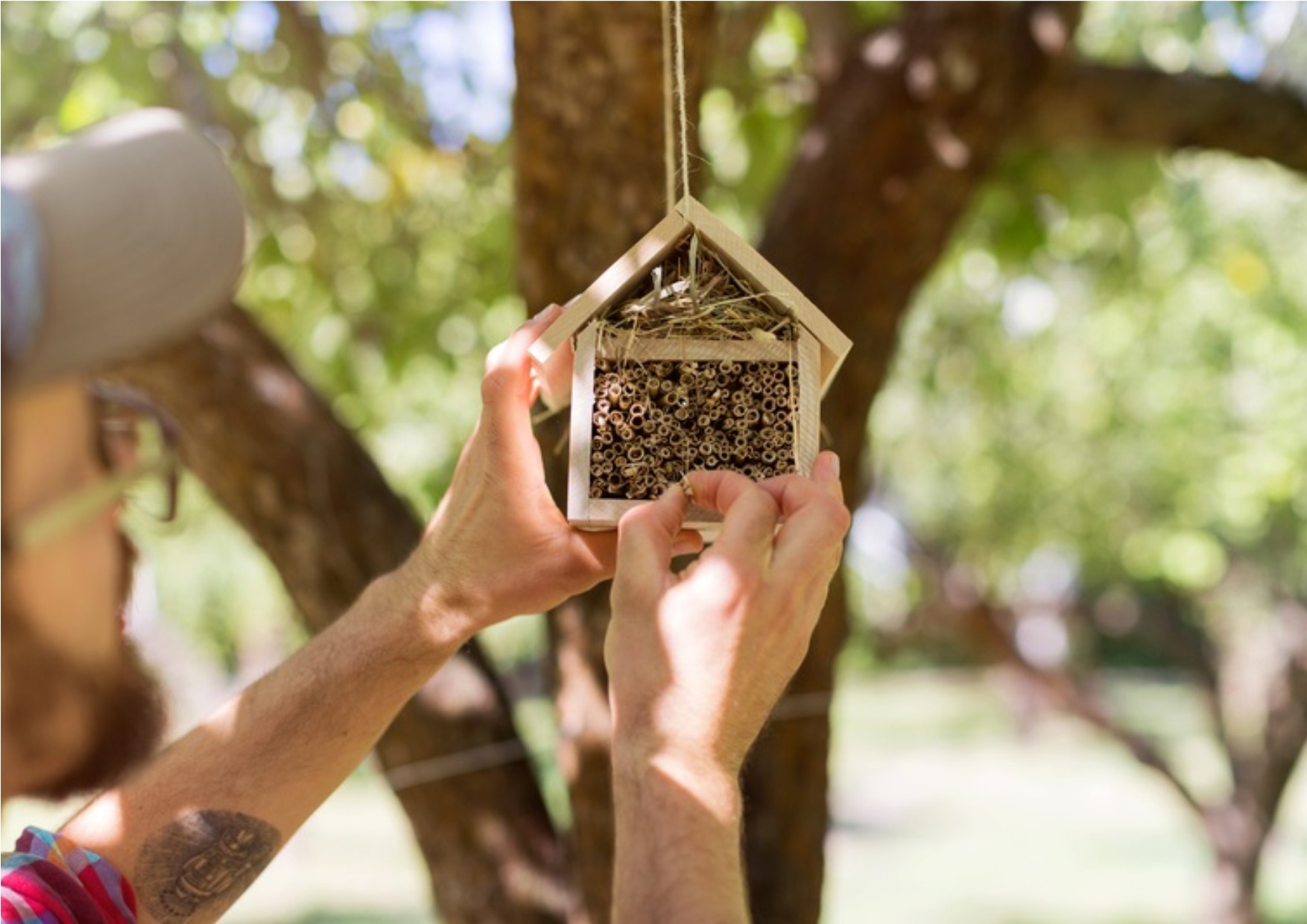 Insekthotell og mann