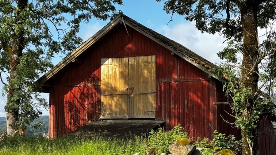 Rødlåven