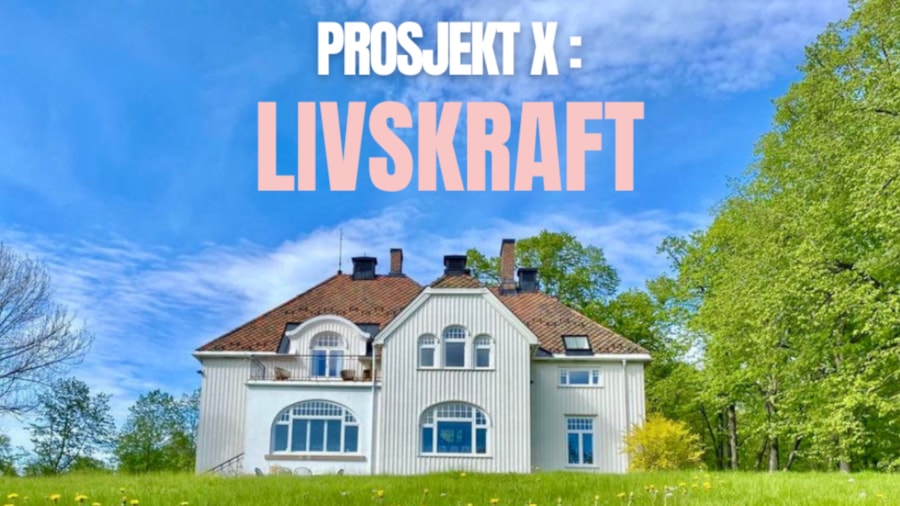 Direktørboligen ved gamle Dikemark sykehus, samlingen foregår i 2.etg. i rommet ved verandaen