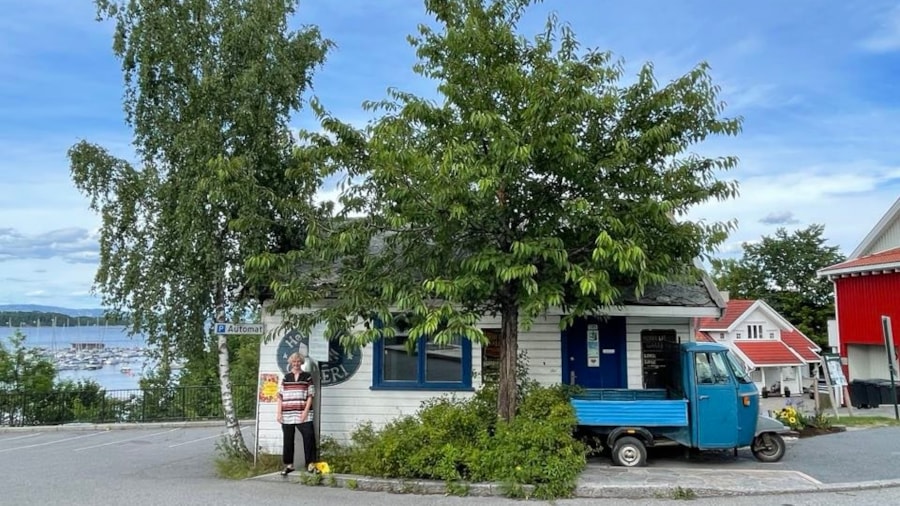 Kunstplass sommer