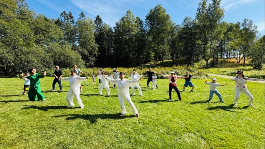 For eldre kan Tai Chi være spesielt verdifullt