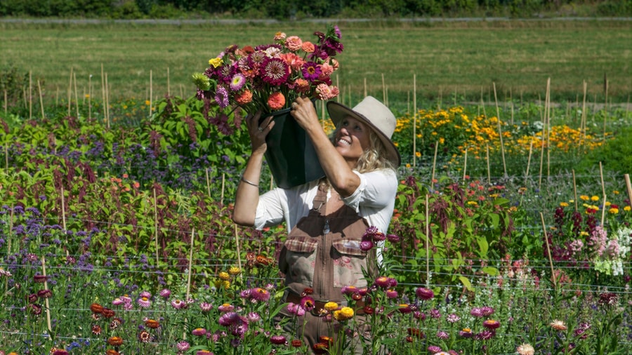 Blomstergården utsiktsbilde