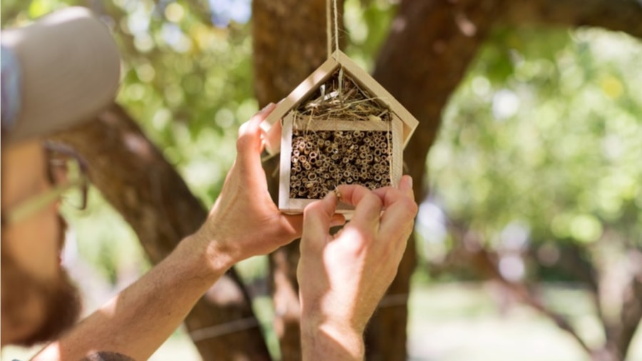 Insekthotell og mann
