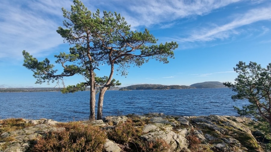 Privat bilde fra tur langs Kystsien