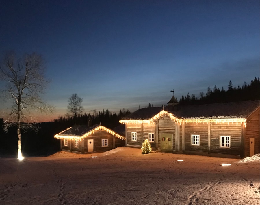 Juletregården på kveldstid