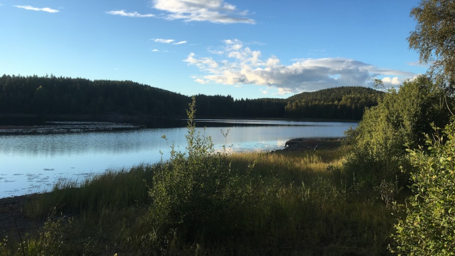 Røskestadvannet - Naturbilde, vann og skog