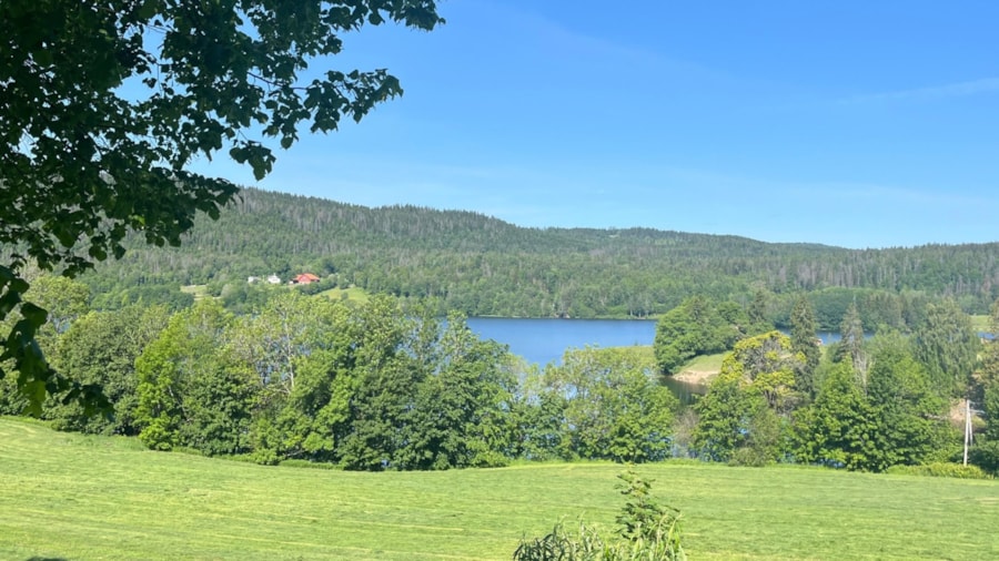 Et bilde av Semsvannet og området rundt.