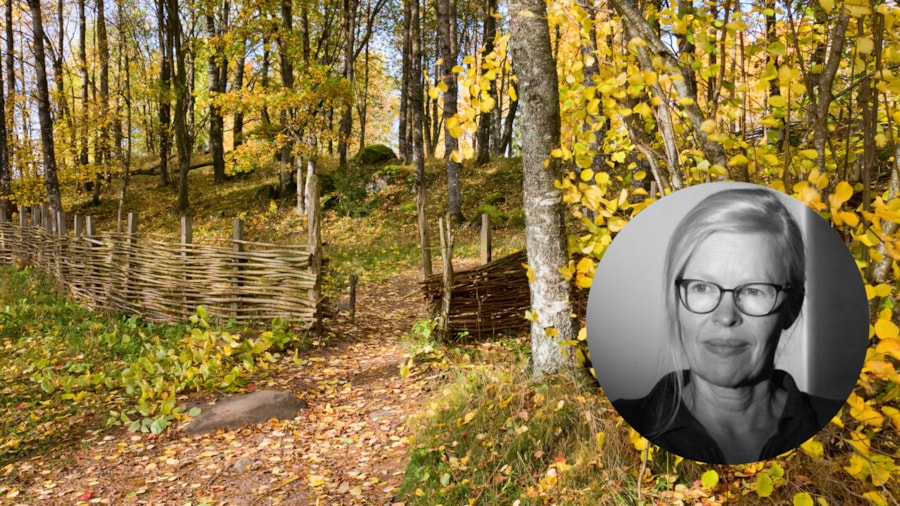 Skog og natur