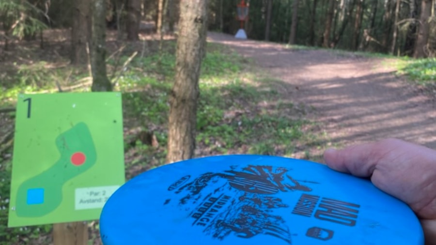 Frisbeegolf
