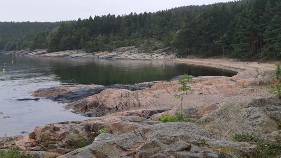 Fint turterreng vann og berg