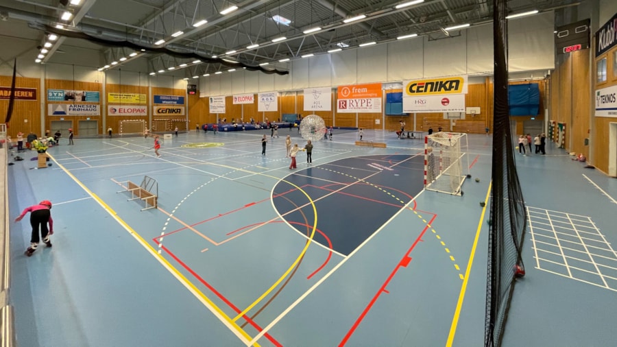 ROS Arena
