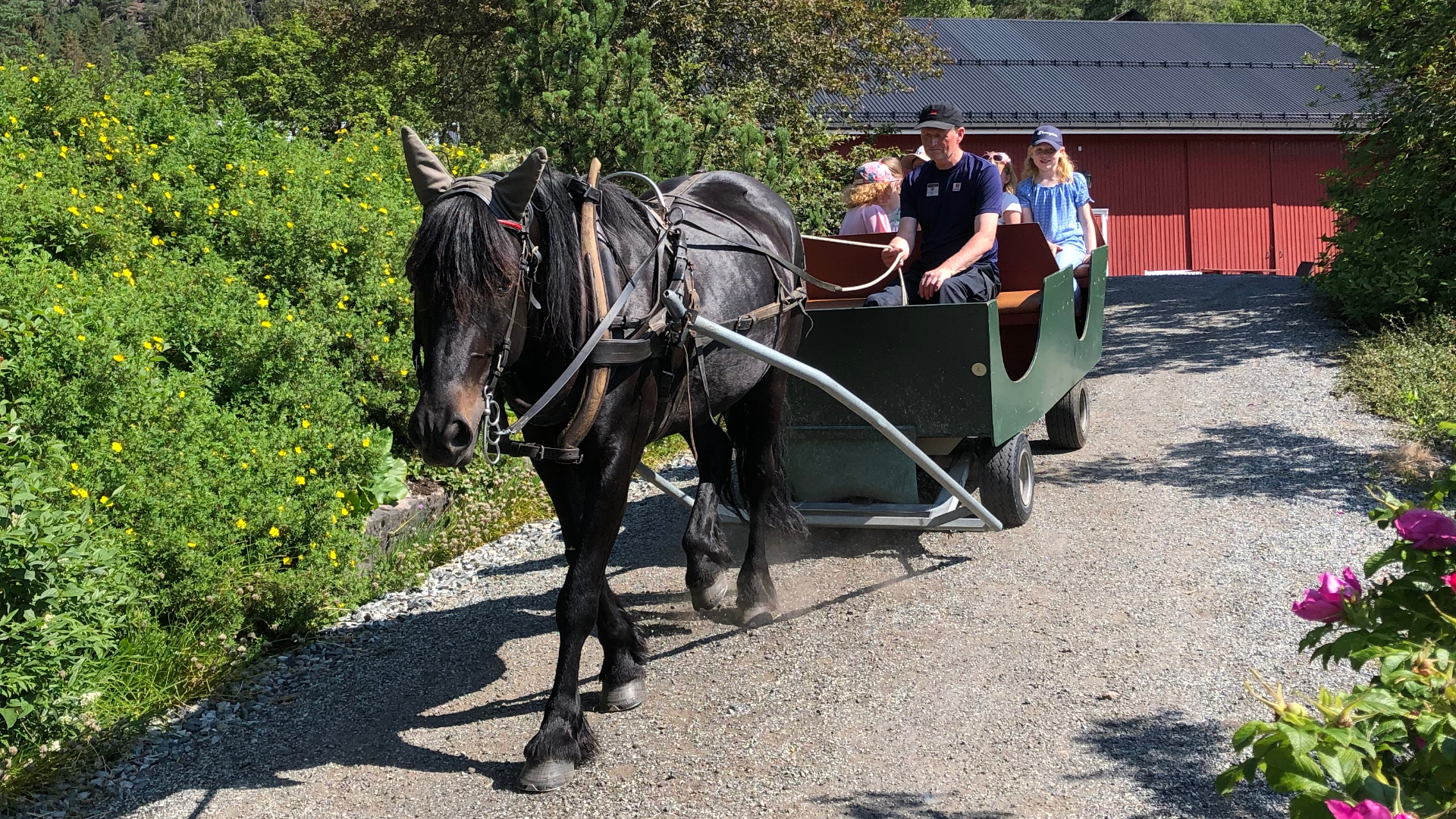 Stas å kjøre tur med hest og vogn.