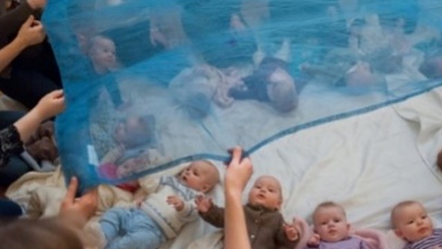 Babyer koser seg med teppe som er som et hav på babysang