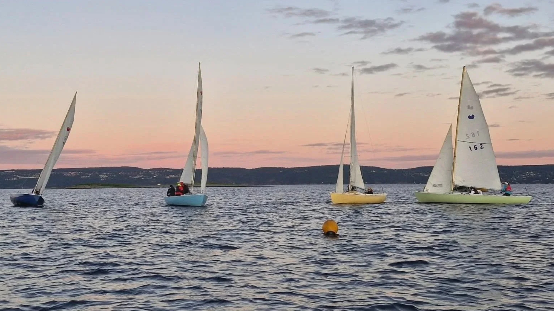 Uformell regatta med Andunger