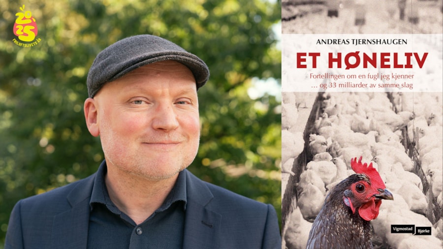 Forfatter og bokomslag