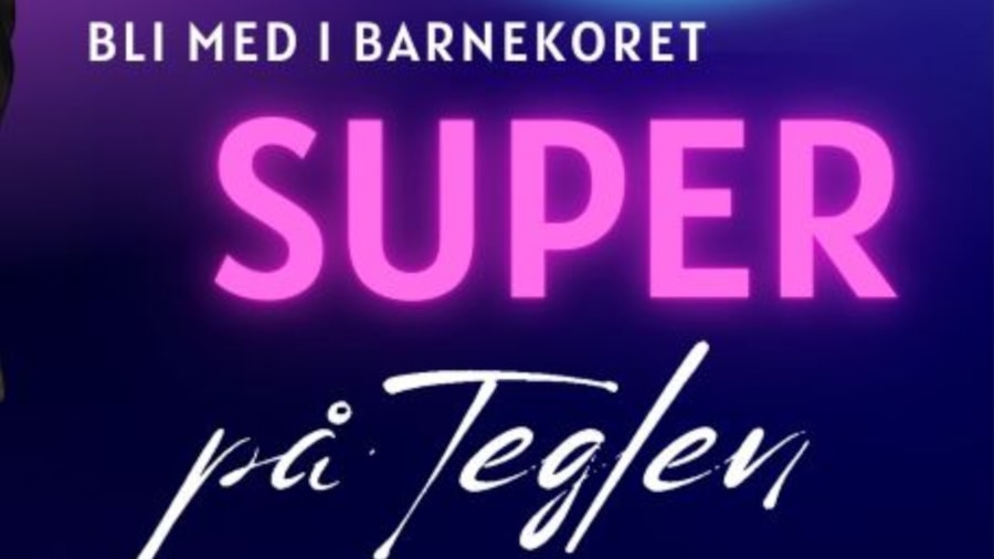 Logo for barnekoret