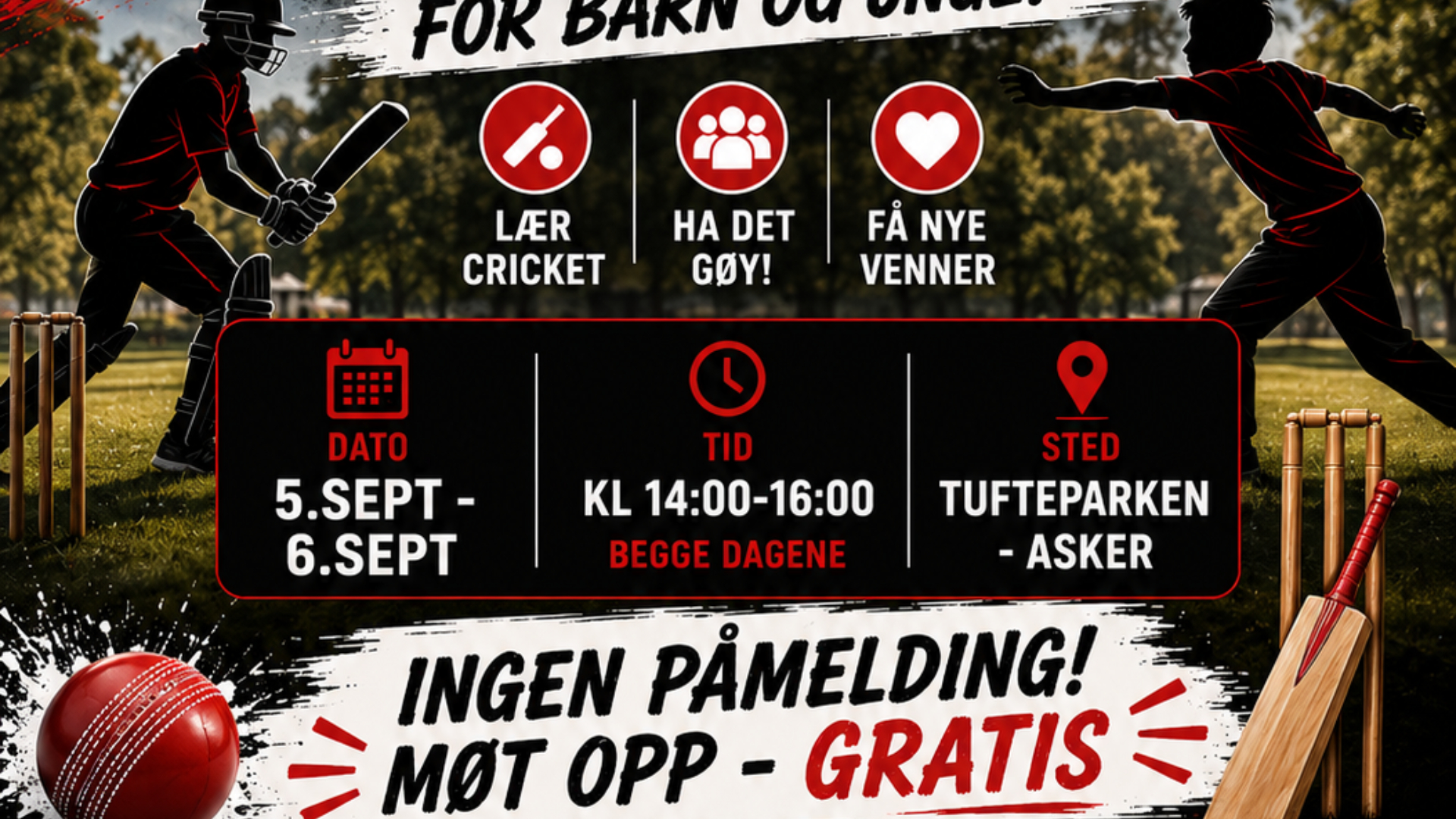 Asker cricket skole