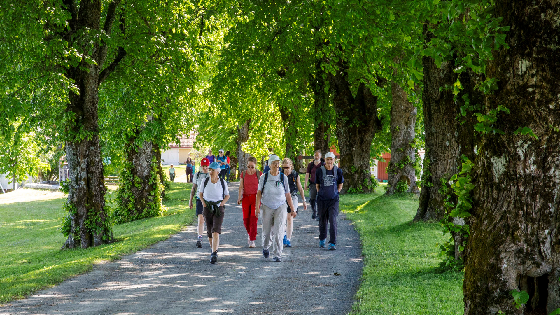 Bilde fra fjorårets vandring, her er siste etappe gjennom Prestegårdsalleen til Hurum middelalderkirke.