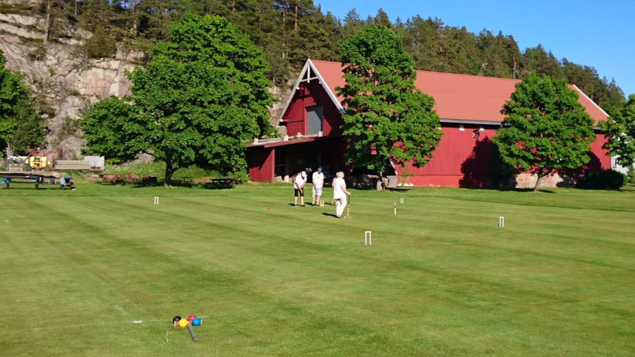 Mennesker som koser seg med Croquet i sola