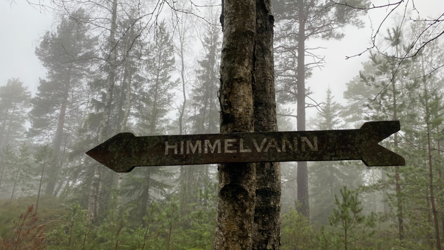 På vei fra Holmsbu til Hurum går vi forbi Himmelvann