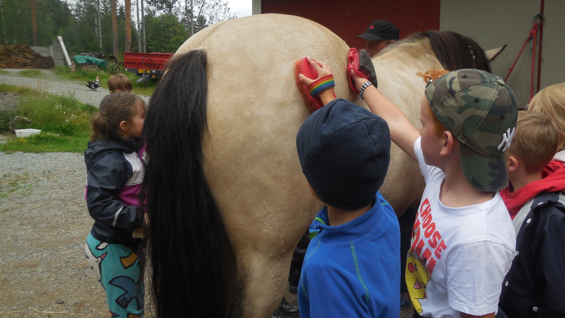 Hesten må børstes før bruk