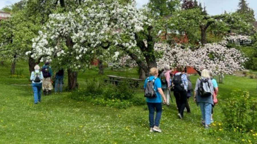 På vei til en velfortjent lunsj pause