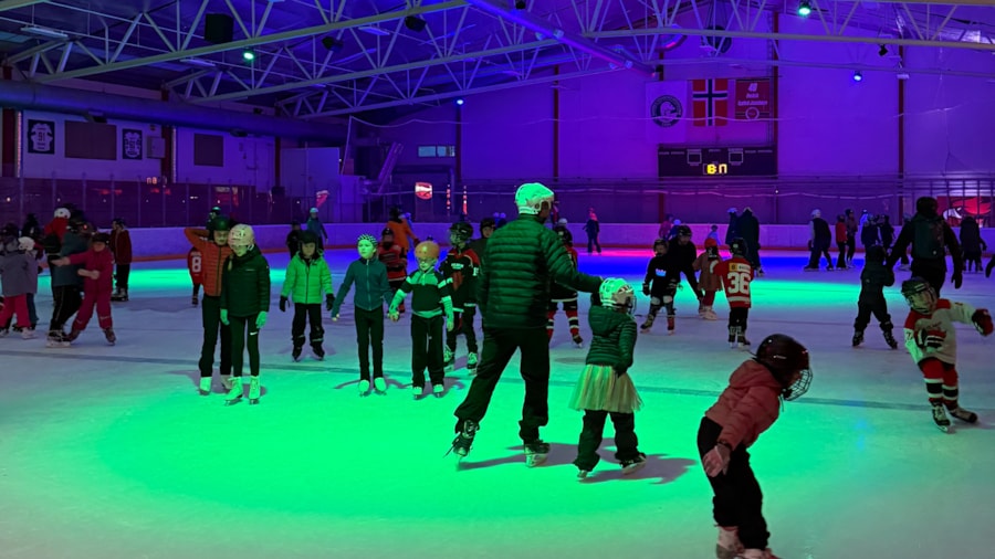 Skøyte og Hockeyskole
