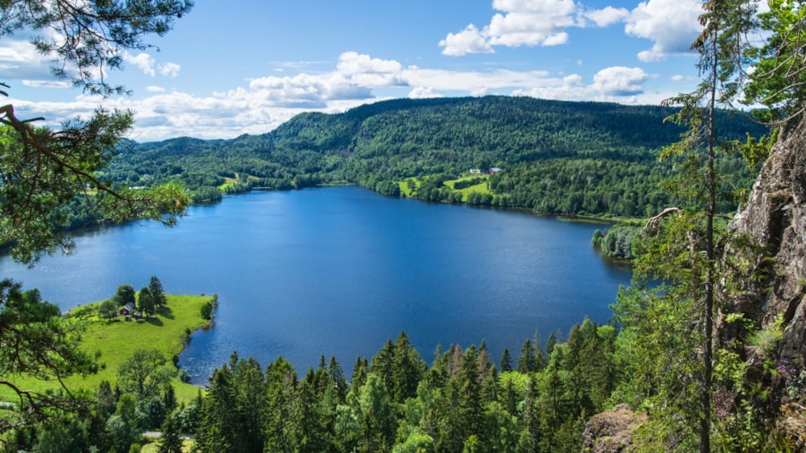 Et oversiktsbilde over Semsvannet sett fra Skaugumåsen.