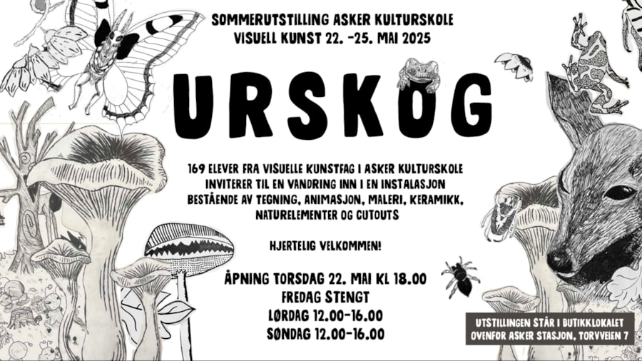 Visuell kunst