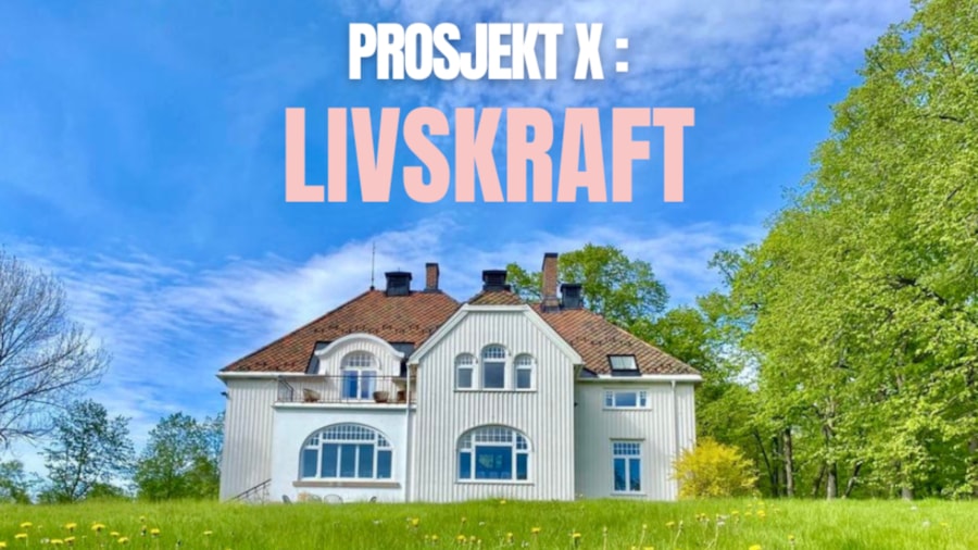 Direktørboligen ved gamle Dikemark sykehus, samlingen foregår i 2.etg. i rommet ved verandaen