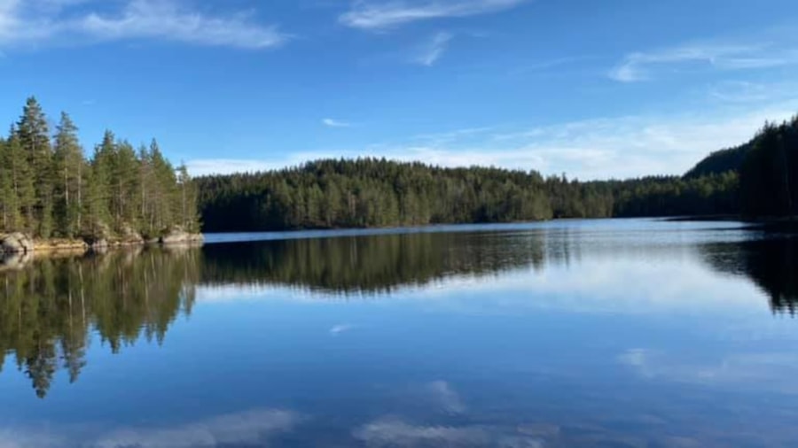 Stikkvann