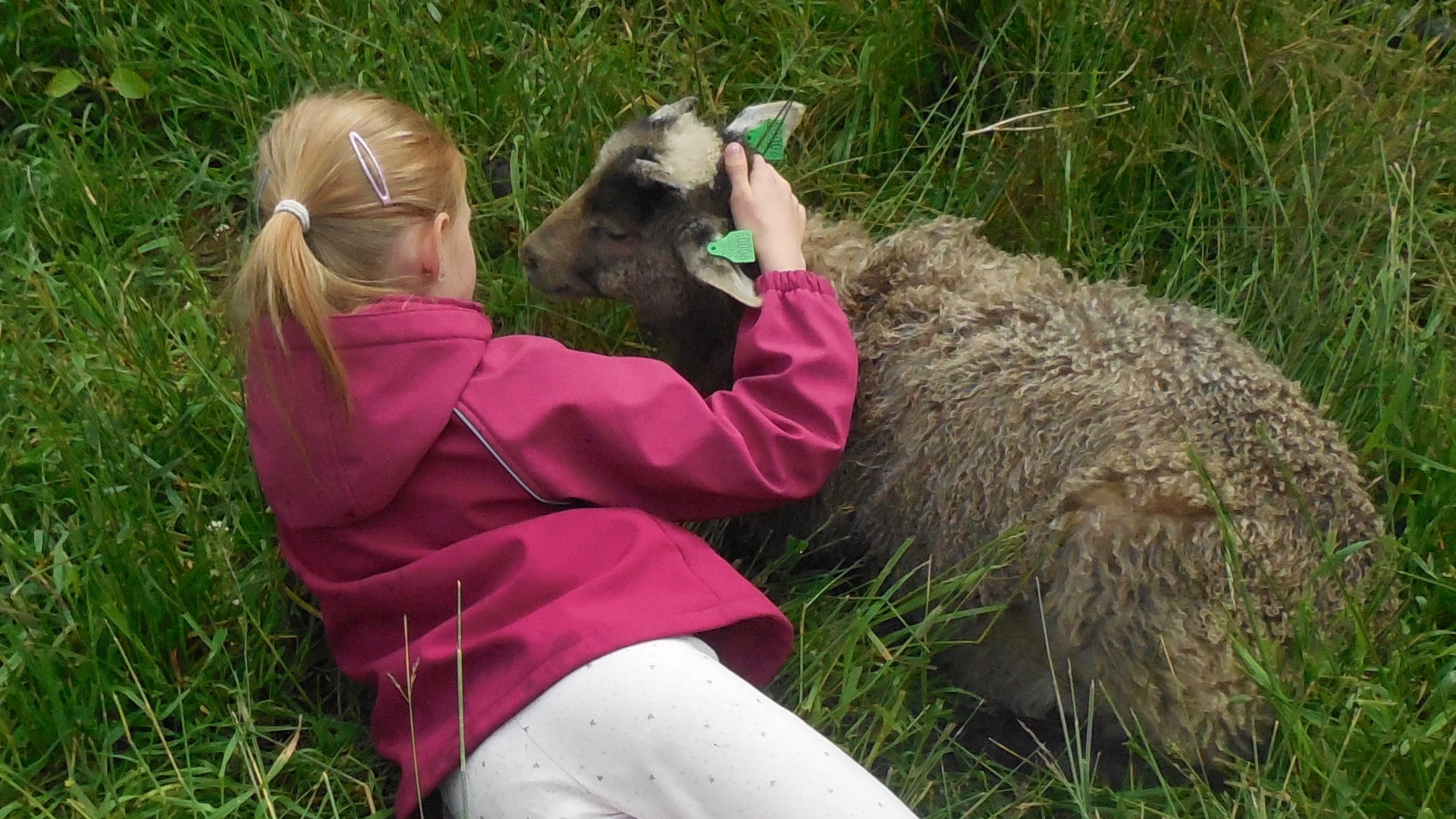 Godt å ha en lodden kamerat